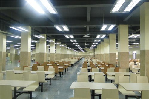 禪城專業工廠食堂承包 一站式信息咨詢服務，助力企業高效餐飲管理